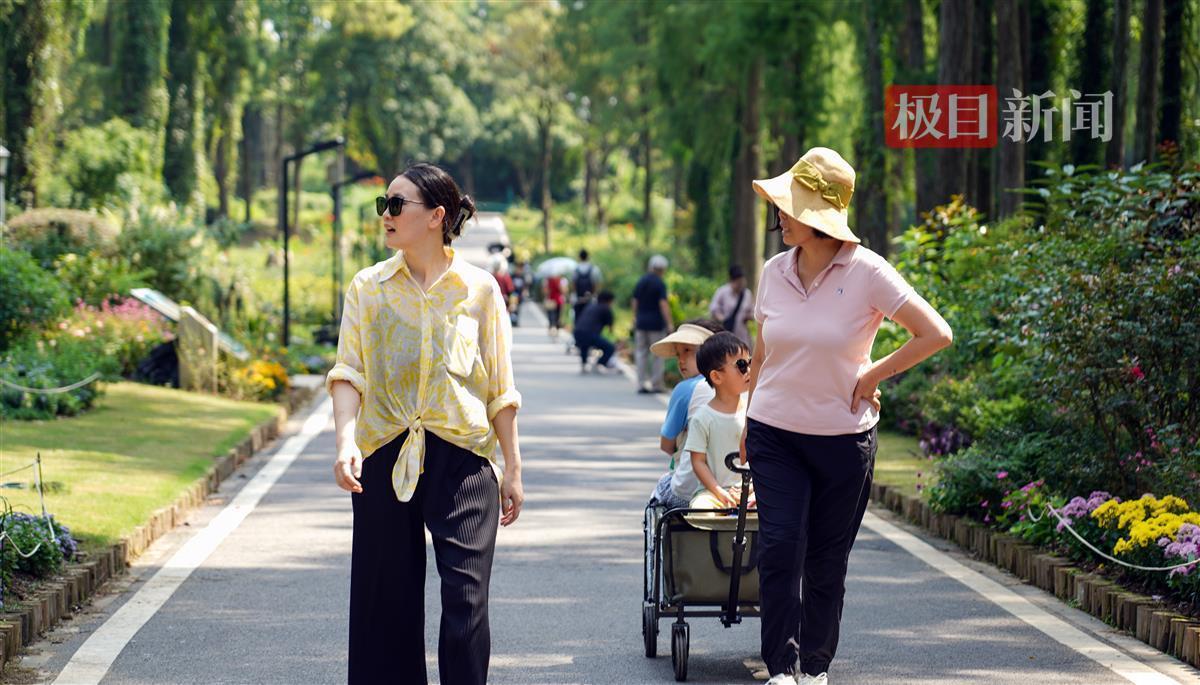 白家乐小路长顶路打法